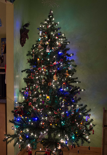 Xmas tree is up...